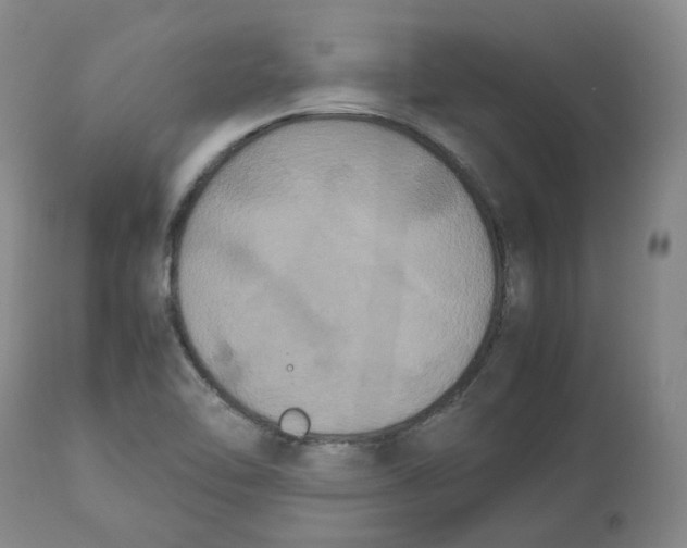 X0000112531462200909141235