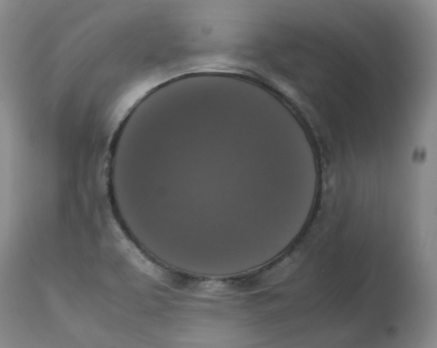 X0000112531463200909141235