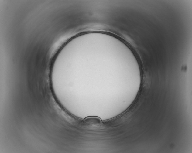 X0000112531464200909141235