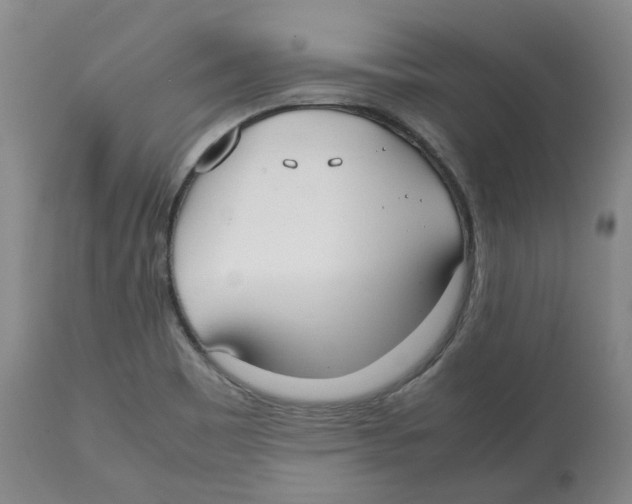 X0000112531465200909141235