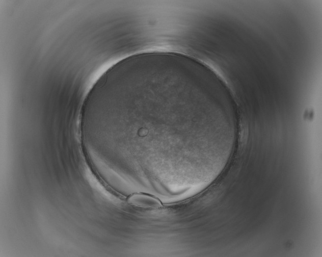 X0000112531468200909141235