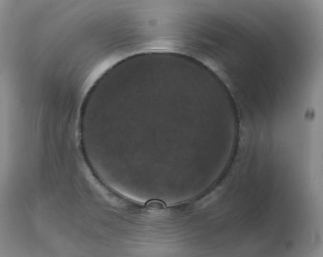 X0000112531469200909141235