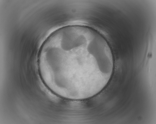 X0000112531470200909141235