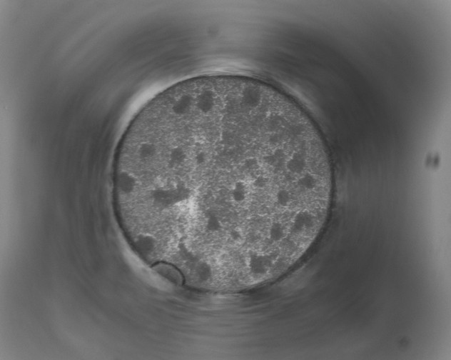 X0000112531471200909141235