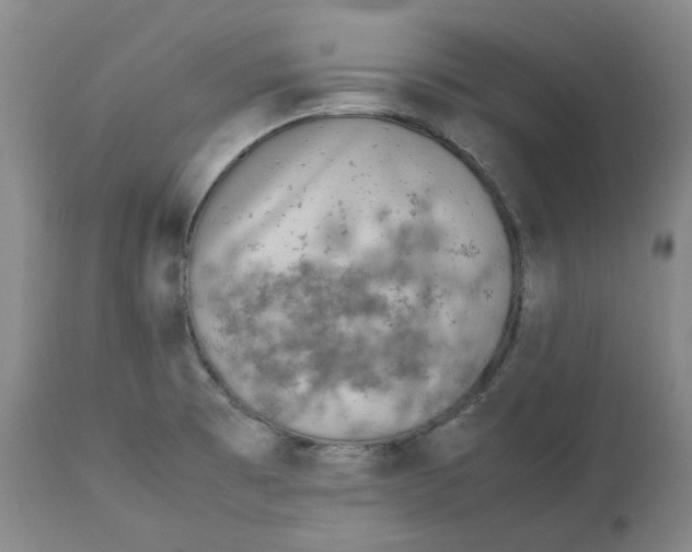 X0000112531473200909141235