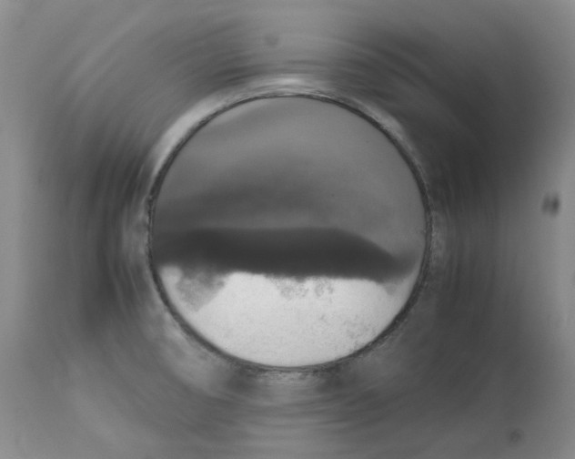 X0000112531474200909141235