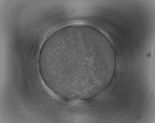 X0000112531475200909141235