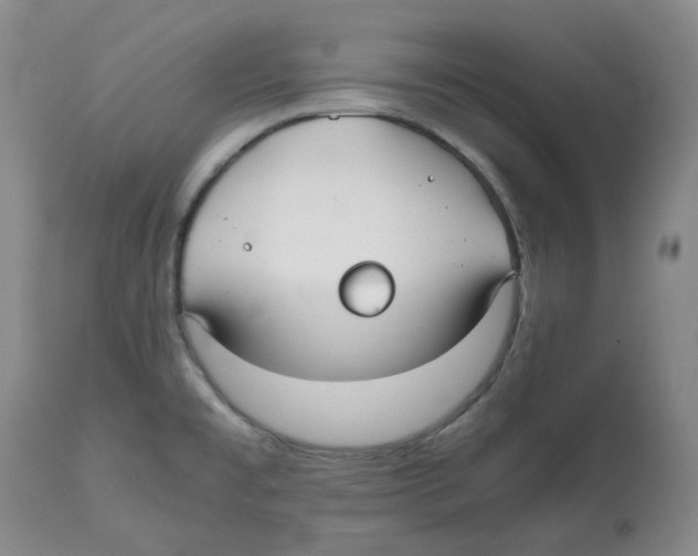 X0000112531477200909141235