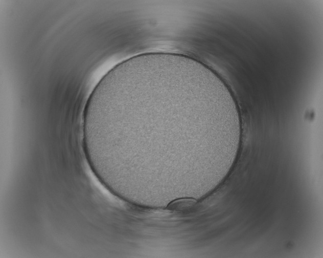 X0000112531479200909141235