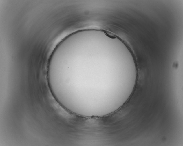 X0000112531480200909141235