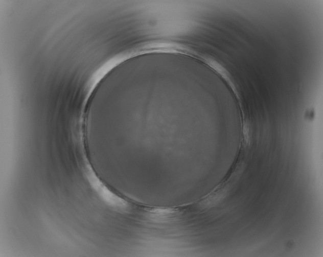 X0000112531482200909141235