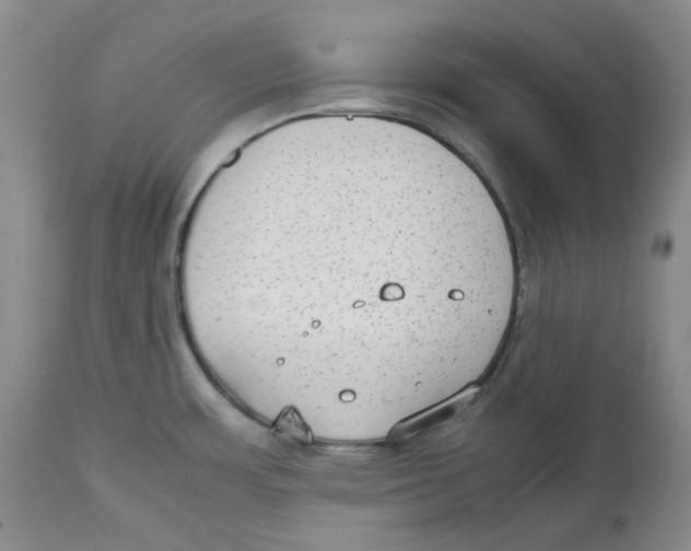 X0000112531483200909141235