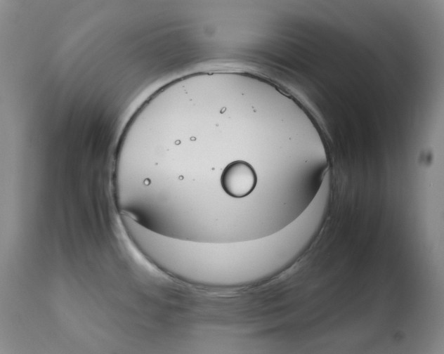 X0000112531484200909141235