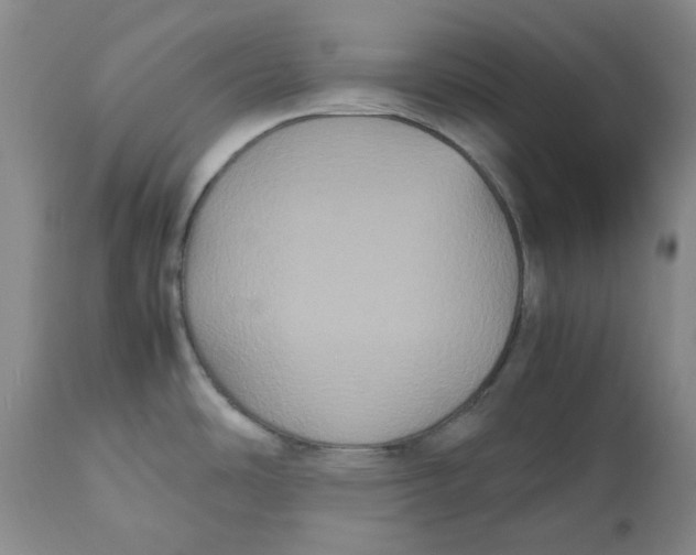 X0000112531486200909141235