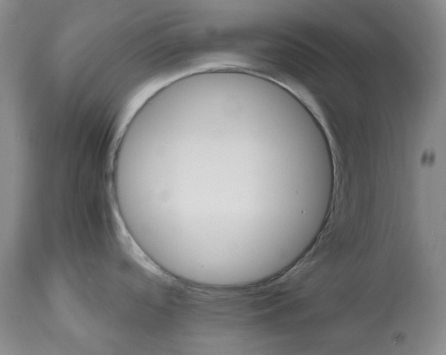 X0000112531488200909141235