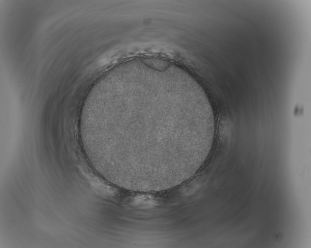 X0000112531489200909141234