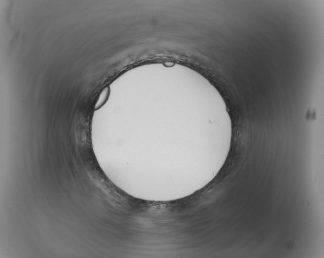 X0000112531490200909141234