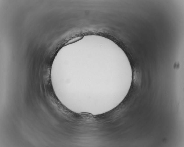 X0000112531492200909141234