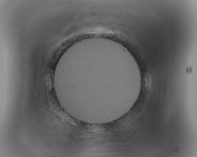 X0000112531493200909141234