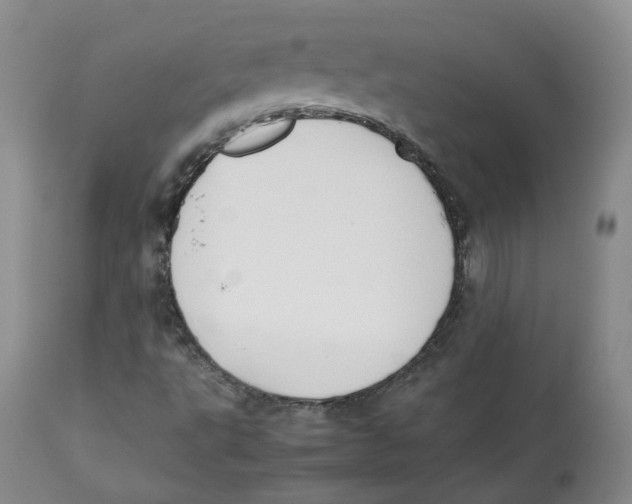 X0000112531495200909141234