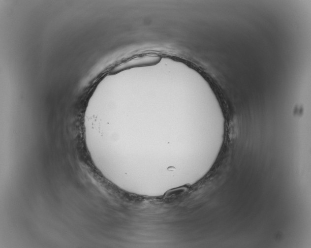 X0000112531496200909141234