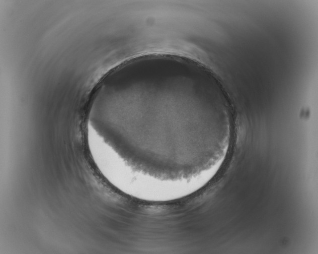 X0000112531497200909141234