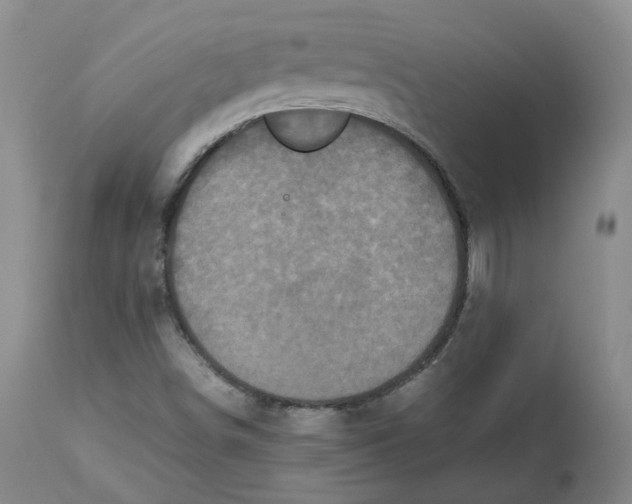 X0000112531498200909141234