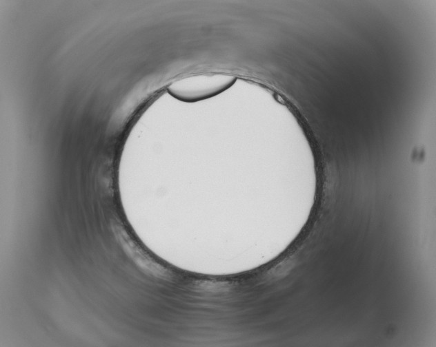 X0000112531499200909141234