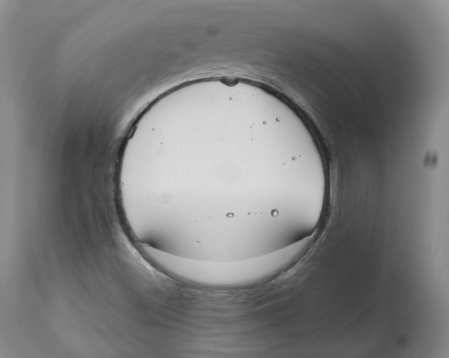 X0000112531500200909141234