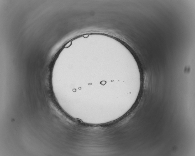 X0000112531502200909141234