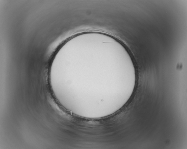 X0000112531503200909141234