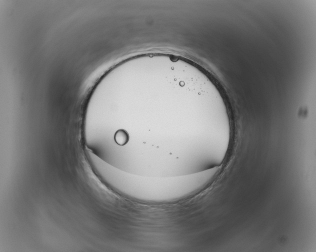 X0000112531504200909141234