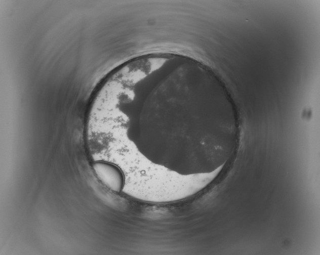 X0000112531505200909141234