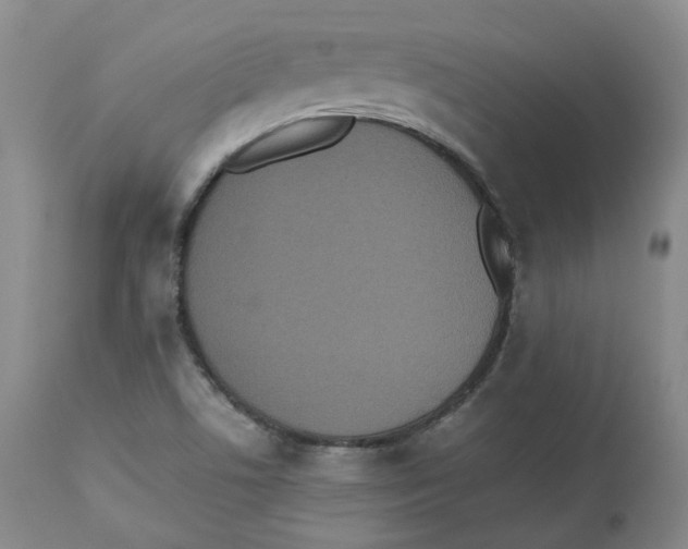 X0000112531506200909141234