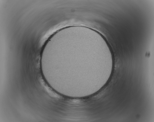 X0000112531507200909141234