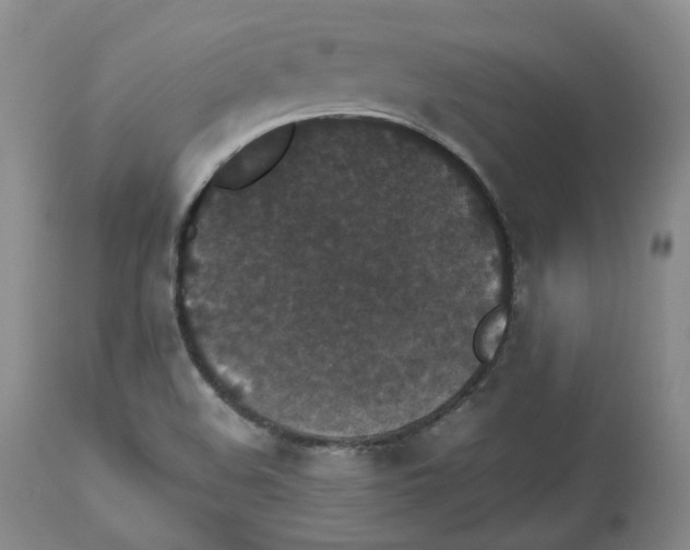 X0000112531508200909141234