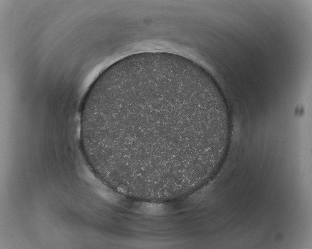 X0000112531509200909141234