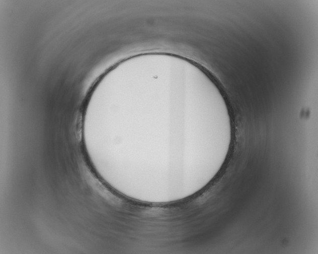 X0000112531510200909141234