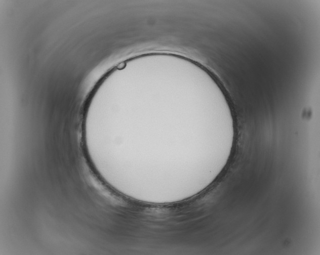 X0000112531511200909141234