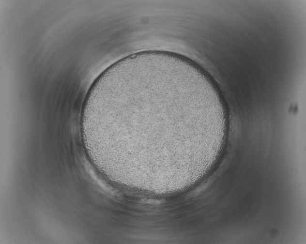 X0000112531513200909141234