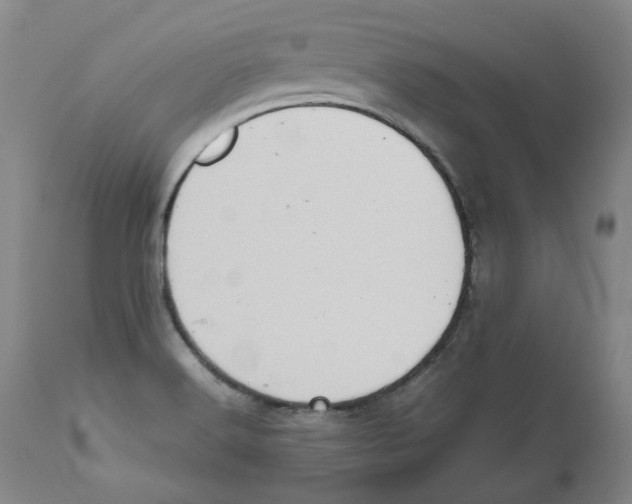 X0000112531516200909141234