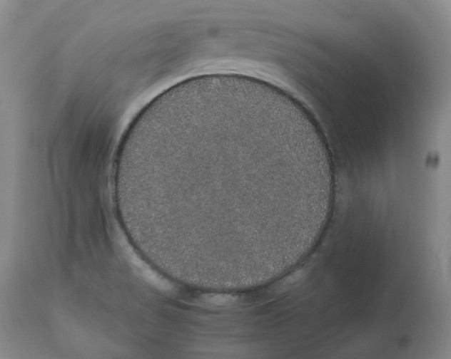 X0000112531517200909141234