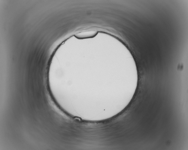 X0000112531518200909141234