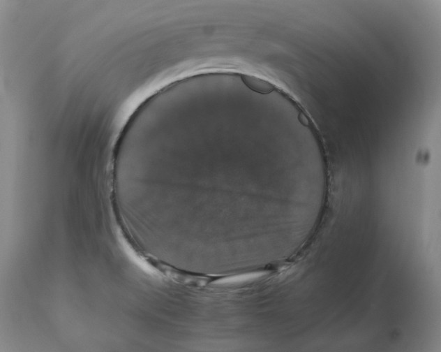 X0000112531519200909141234