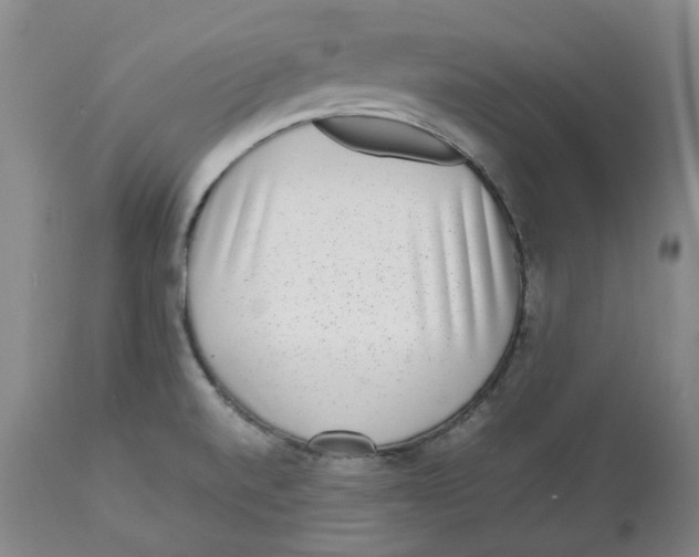 X0000112531520200909141234