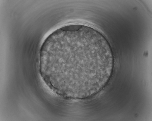 X0000112531522200909141235