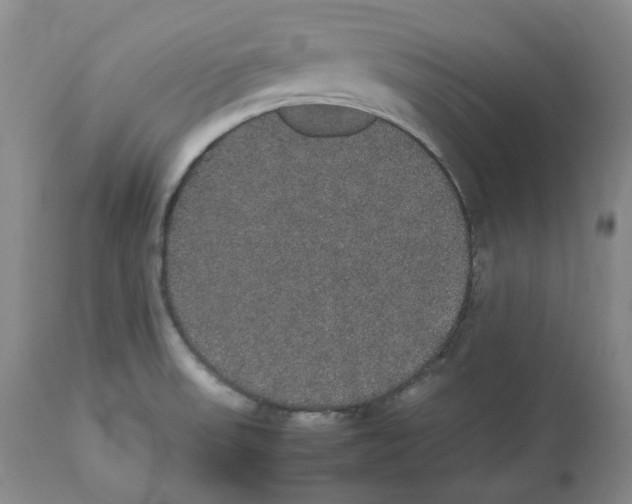 X0000112531523200909141235