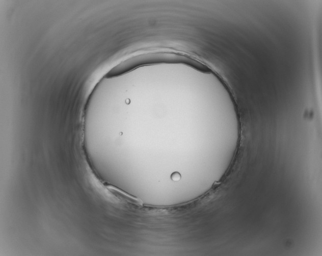 X0000112531524200909141235