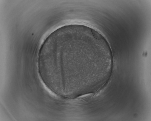 X0000112531525200909141235