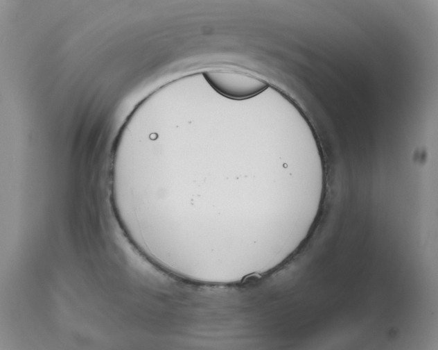 X0000112531526200909141235